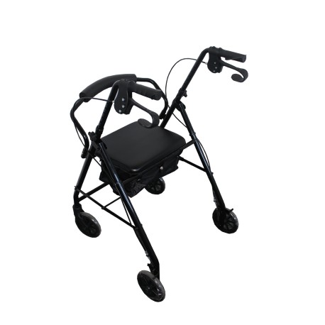 Rollator de Acero R-6