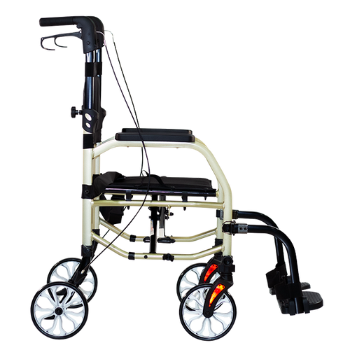 Imagen 2