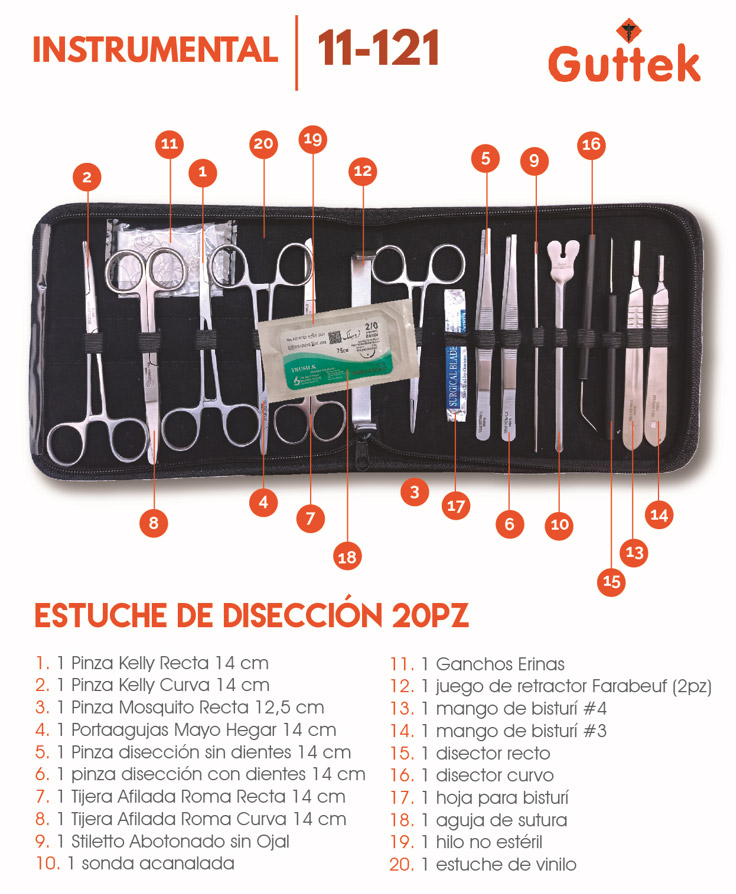Imagen 2